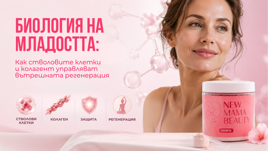 Биология на младостта: как стволовите клетки и колагенът подпомагат регенерацията
